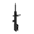 OESPECTRUM PREMIUM STRUT