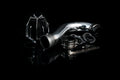 Weapon R intake system