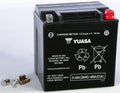 Yuasa YIX30L Maintenance Free AGM 12-Volt Battery