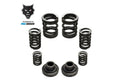 ~(1 lbs. 6X3X3)~ Engine Speed Governor Spring Kit For 94-98 Dodge Ram 2500/3500 Cummins 12 Valve Engine W/P7100 Injection Pump Pacbrake