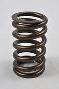 PAC RACING SPRINGS springs
