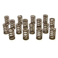 PAC RACING SPRINGS springs detail
