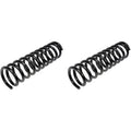 COIL SPRINGS