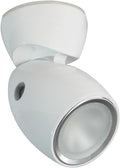 GAI 2, WHITE 3C 5K WHTDIM RED BLUE
