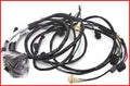 69-72 LAMP HARN-GAUGESTERNAL REG.