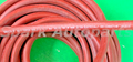 MLT-PURP HOSE PREM DAY