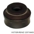 Engine Valve Stem Oil Seal Set - 12-37194-03