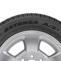 Toyo Extensa A/S II Tire - P255/50R20 109H