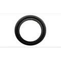 R1 14-19 Ford Transit (Mexico) Front Right Drilled & Slotted Black Brake Rotor