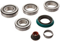 DIFFERENTIAL REBUILD KIT