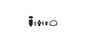 Nitrous Express - Xtreme Purge Valve With 1/4" Poly Line (4AN) - 15598X