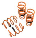 Megan Lowering Springs Honda Civic 16