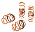 Megan Lowering Springs Honda Accord 18-22 (EXC Hybrid model)