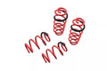 Megan Lowering Springs Audi RS5 13