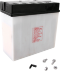 Yuasa 51913 Yumicron 12-Volt Battery