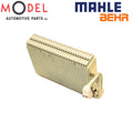 A/C Evaporator Core