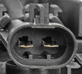 RADIATOR FAN