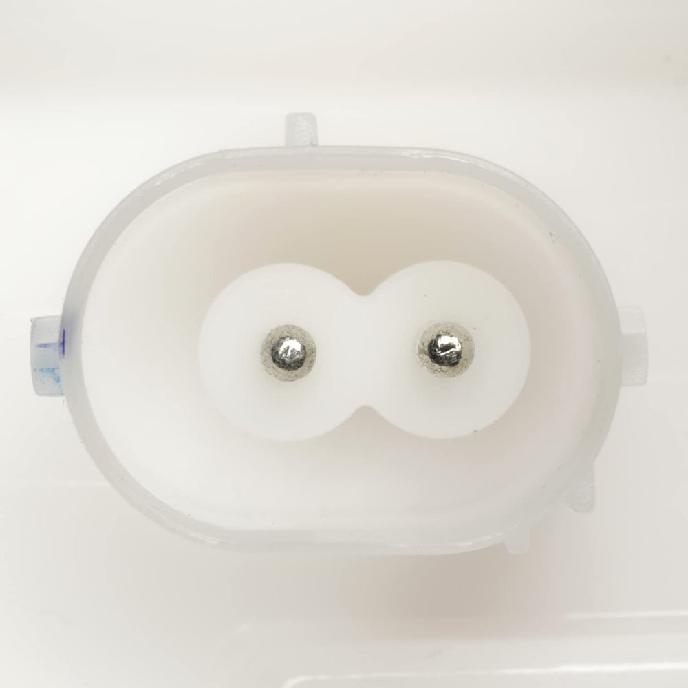 DELPHI fuel pump