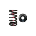 Brian Crower Nissan SR20DE/DET Single Spring & Steel Retainer Kit