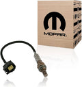 OXYGEN SENSORS