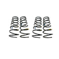Tein Standard Springs L10 ID 65mm Free Length 200 559lb/inch Spring Rate (Two Springs)