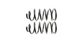 TOYOTA 4 RUNNER 0307 COIL SPRING SET