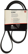 Gates 04-07 Peterbilt 379 Cummins ISX Diesel Fan & Alt. Standard V-Ribbed Belt