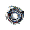 FT550 B Harness 20ft
