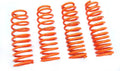 Megan Lowering Springs Mazda5 06-11 24 LBs