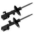 OESPECTRUM PREMIUM STRUT