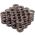 Valve Spring