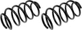 COIL SPRINGS
