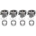 GM 6.6L DURAMAX R W/PCR STD. (DSL) PISTON WITH RINGS