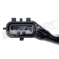 Walker Products Inc. - Sensors wideband gauge