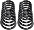 COIL SPRINGS