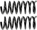 COIL SPRINGS
