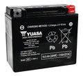 Yuasa YTX20HL-PW Maintenance Free AGM 12-Volt Battery