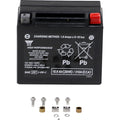 Yuasa YTX20HL-PW Maintenance Free AGM 12-Volt Battery