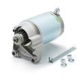MAGNUM STARTER MOTOR BRIGGS