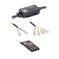 WIDE ANGLE RGBW ROCK LIGHT 4 PIECE WITH CONNECT CONTROLLER