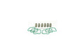 ~(2 lbs. 8X6X4)~ Basic Spring Kit 6 Springs For 94-98 Dodge Cummins 12 Valve Engine Pacbrake