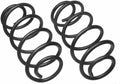REAR CONSTANT RATE SPRING