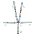 Harness System 5/6pt P/D Camlock Platinum