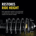 MONROE SHOCKS & STRUTS strut brace detail