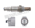 Walker Products Inc. - Sensors auto part detail