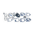 COMPLETE LOWER GEARCASE REBUILD KIT