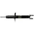 OESPECTRUM PREMIUM STRUT