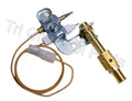 BLUETOOTH TEMPERATURE PROBE