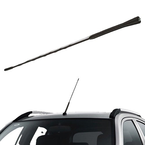 DragonFire Racing 6 Ft Smokey Whip V2 W/Remote