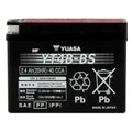 Yuasa YT4B-BS Maintenance Free AGM 12-Volt Battery w/Bottle